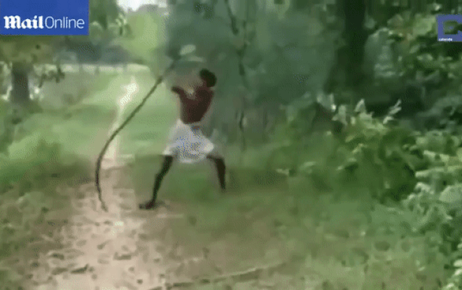 Người đàn ông dùng tay không quật chết rắn hổ mang chúa, lý do khiến nhiều người rưng rưng nước mắt Ảnh 2