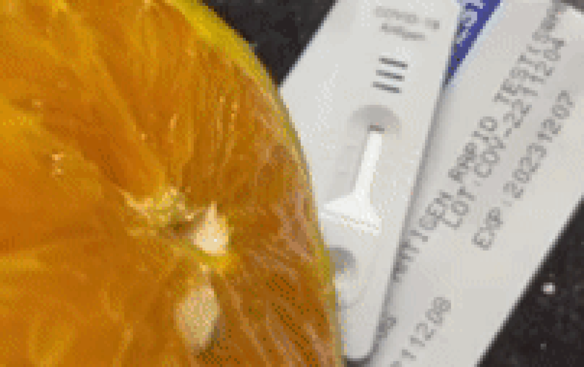 Clip: Test nhanh bằng nước cam tươi cho kết quả dương tính với Covid-19 gây hoang mang, thực hư ra sao? Ảnh 2