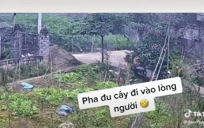 Clip: Bị chó đuổi, nam thanh niên có pha xử lý 'đỉnh cao' khiến netizen cười đau bụng Ảnh 2