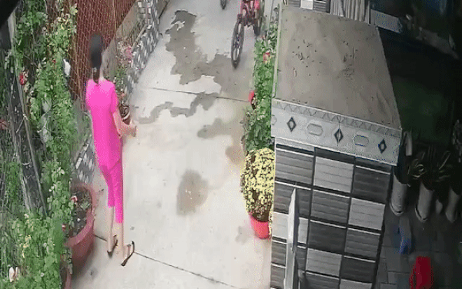 Dân mạng phẫn nộ cảnh tượng người phụ nữ lạ cầm đá chọi chết chú chó Chihuahua mới 8 tháng tuổi Ảnh 2