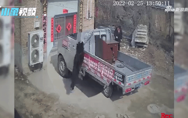 Chú chó bị treo lủng lẳng bên hông xe tải suýt chết ngạt, thái độ của tài xế khiến netizen tranh cãi Ảnh 2