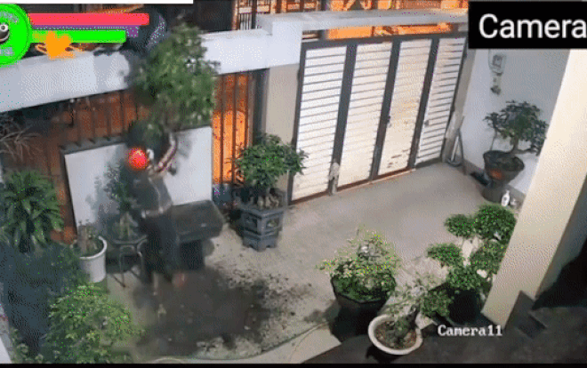 Đêm hôm leo tường hì hục ăn cắp cây cảnh, tên trộm 'bất ngờ' phát hiện 1 điều không tưởng từ chủ nhà Ảnh 2