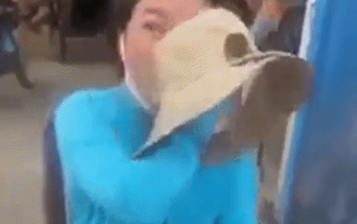 Clip: Người phụ nữ khuyết tật khóc nức nở khi bị kẻ xấu giật mất cọc vé số Ảnh 2