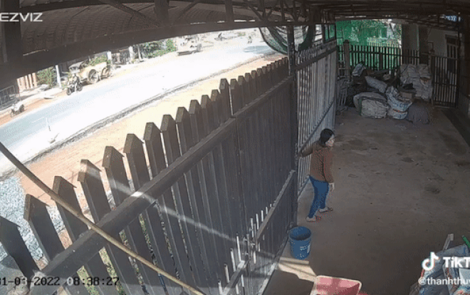 Clip: Đang đẩy cửa vào nhà, người phụ nữ bất ngờ nhận cái kết 'điếng người' Ảnh 2