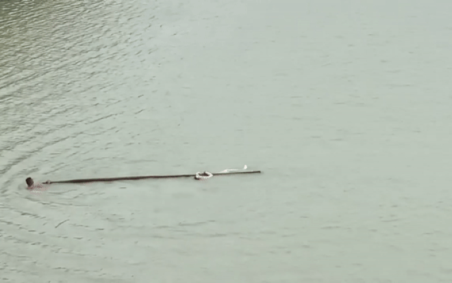 Clip: Buồn chuyện tình cảm cô gái trẻ nhảy sông tự tử, 'nín thở' theo dõi cảnh 'người hùng' giải cứu Ảnh 2