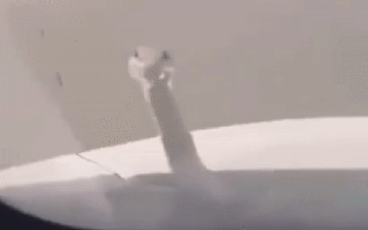 Clip: Tài xế được phen giật mình khi phát hiện 'vị khách lạ' ngoe nguẩy ngoài kính xe ô tô Ảnh 2