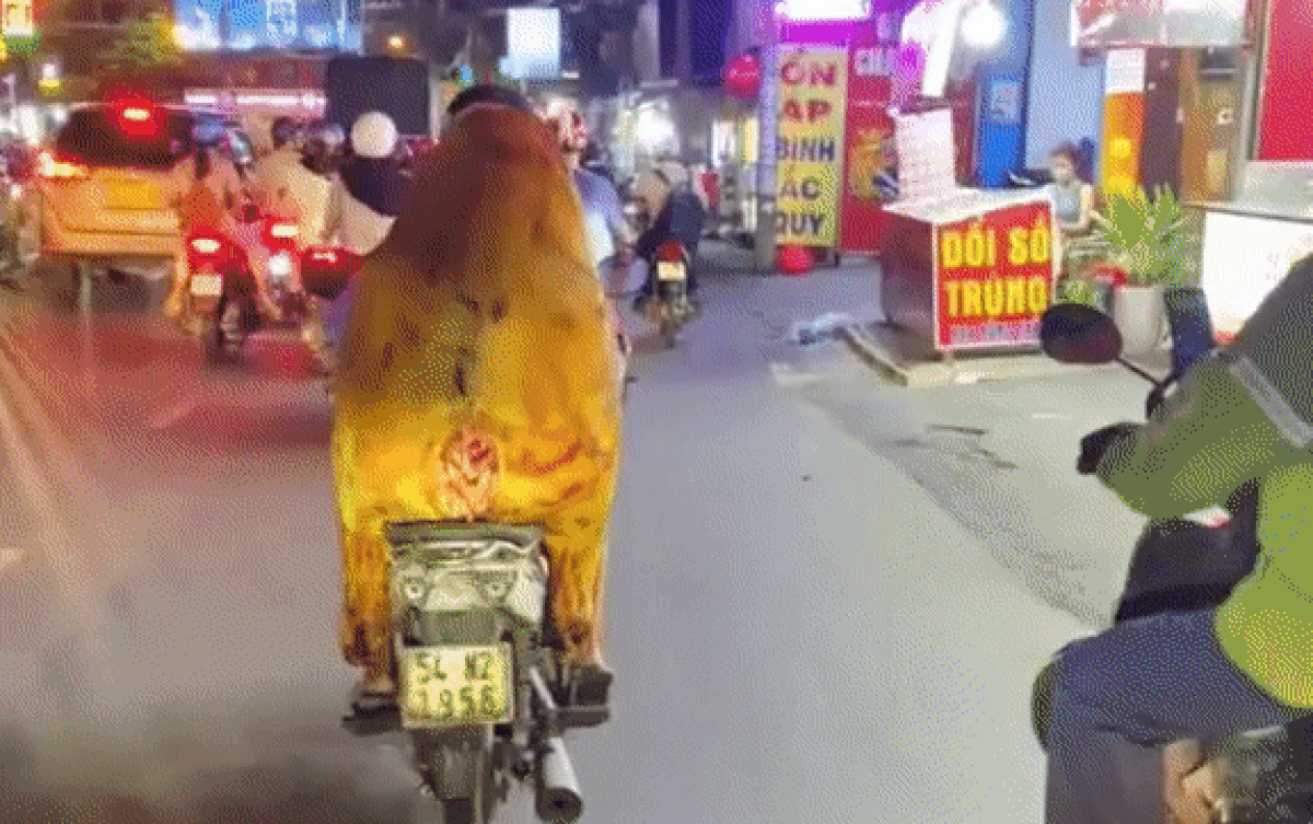 Người đàn ông khiến cả phố sửng sờ khi chở theo vật thể không đầu sau xe, lại gần mới vỡ lẽ Ảnh 2