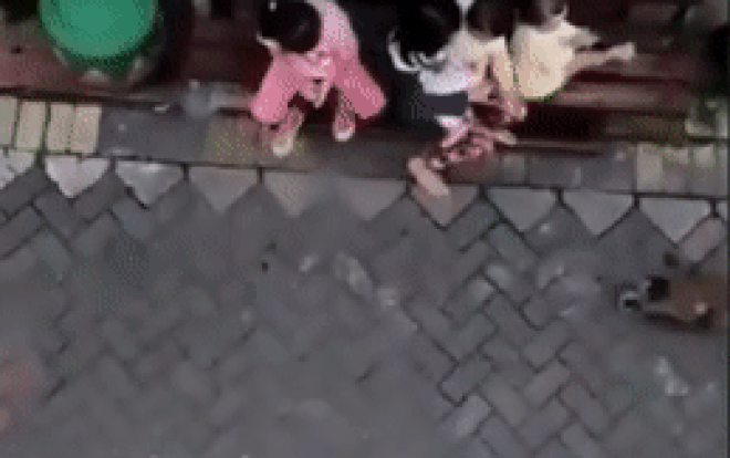 Clip: Hốt hoảng cảnh con khỉ 'láu cá' đạp xe 'bắt cóc' một đứa trẻ trên phố và sự thật đằng sau Ảnh 2