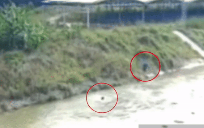 Clip: Máy xúc gặp nạn rơi xuống kênh, thanh niên lao mình cứu tài xế, cả hai đều bị cuốn trôi và tử vong Ảnh 2