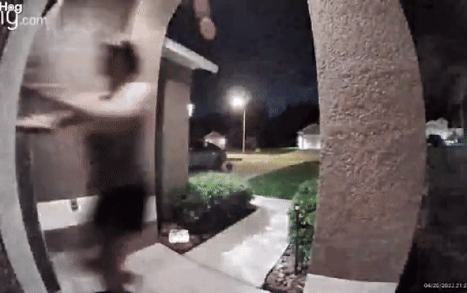 Đang đi dạo, cả gia đình chạy 'trối chết' về nhà, camera ghi lại cảnh tượng 'hú hồn' Ảnh 2