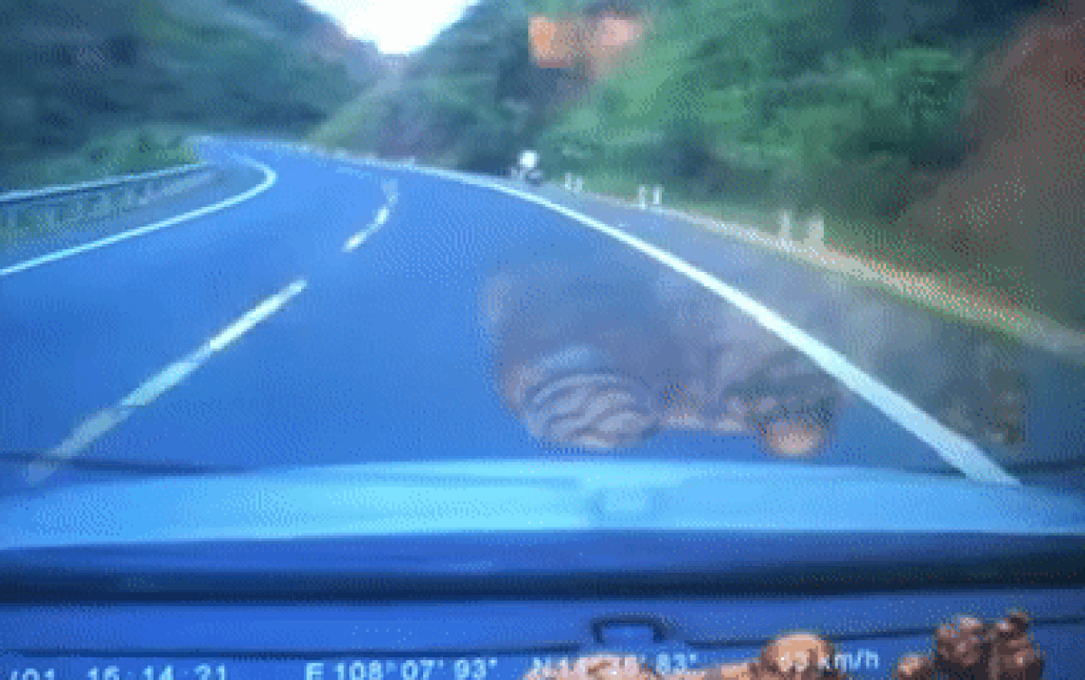 Nam thanh niên đi xe máy đổ đèo và gặp tai nạn vì mất lái, cái kết khiến nhiều người 'thót tim' Ảnh 2