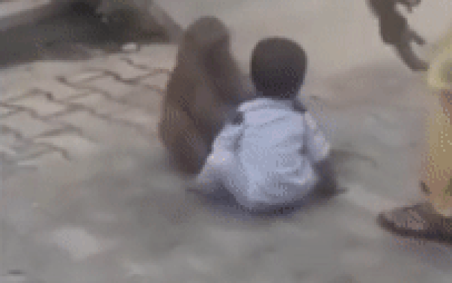 Khỉ con 'bắt cóc' đứa trẻ đem ra giữa đường phố, có hành động 'đặc biệt' khiến nhiều người kinh ngạc Ảnh 2