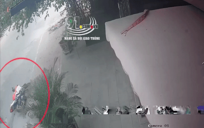 Clip: Xe tay côn trượt dài trên đường bốc cháy dữ dội, thanh niên vội vàng tránh vết xăng đang bắt lửa Ảnh 2