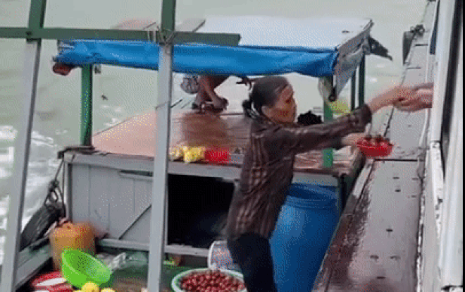 Cảm phục người phụ nữ vất vả mưu sinh bất chấp nguy hiểm mưa gió trên Vịnh Hạ Long Ảnh 2