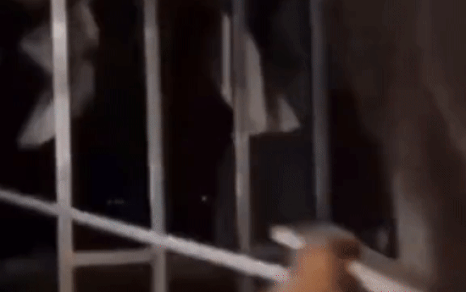 Đêm hôm lén lút trộm đồ lót, biến thái vội vàng đu rào như 'tarzan' để tránh 'sự truy đuổi' bất ngờ Ảnh 2