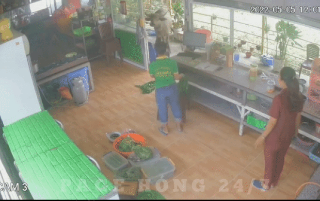 Clip: Đang nấu nướng trong bếp, cả nhà 'thất kinh' người trốn kẻ chạy vì một 'vị khách không mời' Ảnh 2