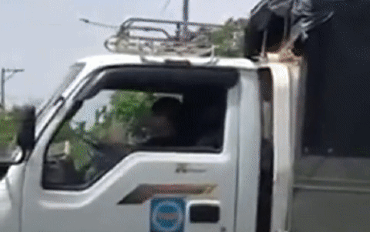 Clip: Bé trai 10 tuổi điều khiển xe tải lùi vào sân nhà khiến nhiều người thót tim theo dõi Ảnh 2