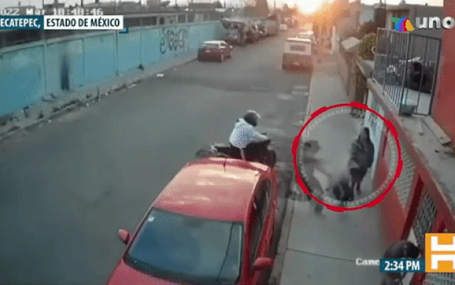 Clip: Bị cướp tấn công, thanh niên chạy trối chết 'bỏ quên' một nhân vật quan trọng Ảnh 2