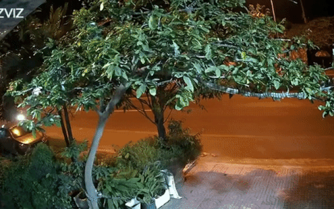 Clip: 'Đứng tim' cảnh xe máy bất ngờ tông thẳng vào cây cảnh bên đường, tài xế bị hất văng lên cây Ảnh 2