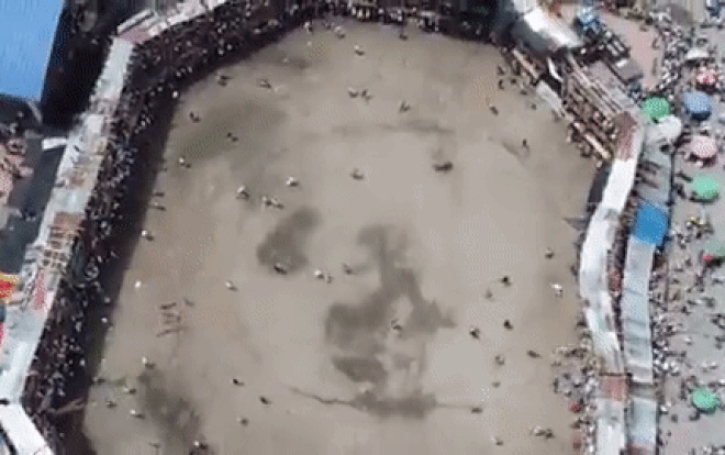 Clip: Sân vận động bất ngờ đổ sập khiến hàng trăm người hoảng loạn tháo chạy Ảnh 2