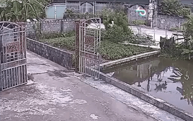 Clip: Chơi gần ao, bé trai ngã lộn nhào xuống nước và màn giải cứu gay cấn Ảnh 2