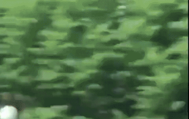 Trốn cảnh sát giao thông, cô gái phóng bạt mạng trên cao tốc và cái kết 'xót ví' Ảnh 2