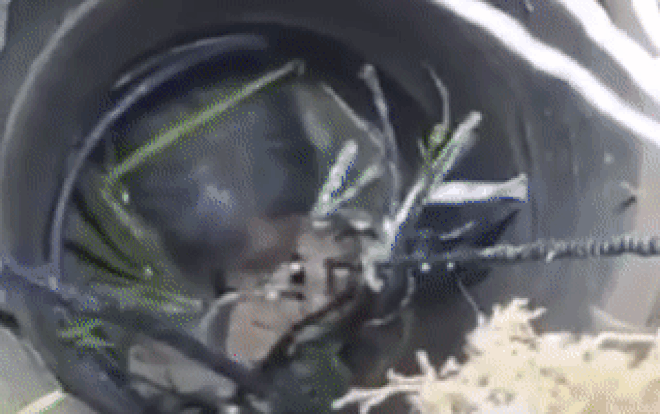 'Nín thở' 3 giờ dùng xẻng cứu cụ ông rơi xuống giếng sâu 7m Ảnh 2