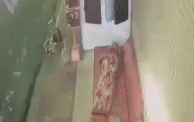 Đem chăn gối ra ngủ ngoài hè, thanh niên 'choáng váng' đón một vị khách lạ Ảnh 2