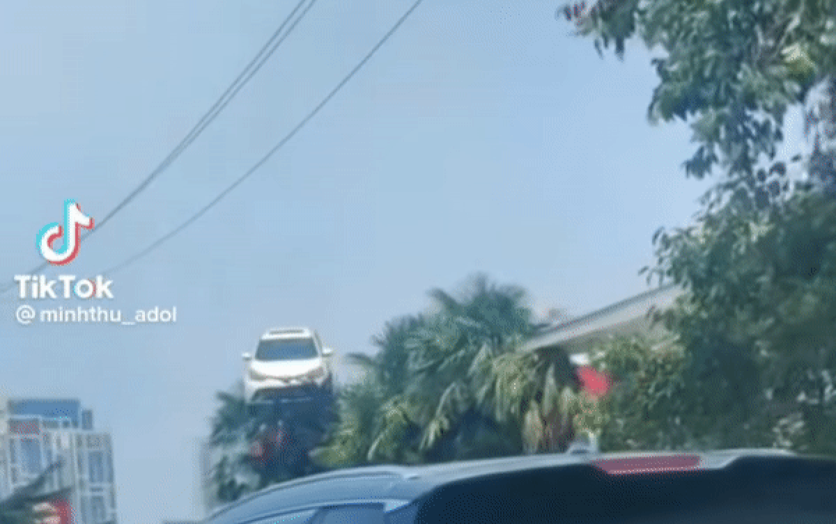Clip: Ô tô nằm vắt vẻo trên ngọn cây khiến nhiều người thắc mắc lý do Ảnh 2