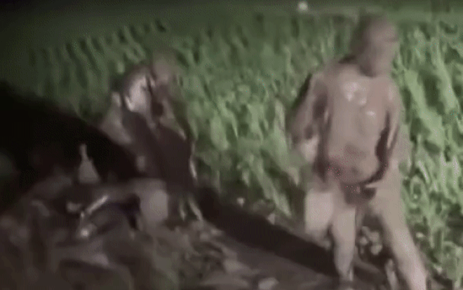 Clip: Nổi hứng tạt vào ruộng lúa giữa đêm, cặp đôi nam thanh nữ tú tự nhiên được 'tắm bùn' Ảnh 2