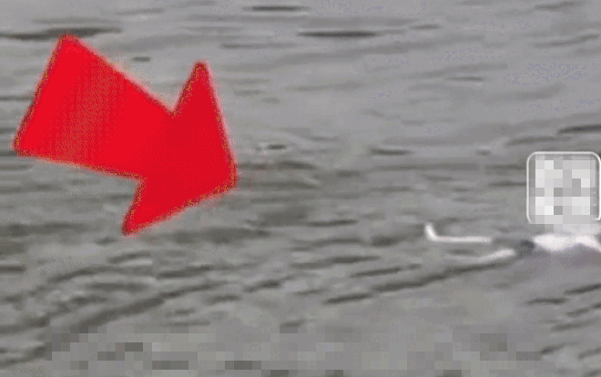 Bé trai sống sót kỳ diệu sau gần 20 phút bị nước sông cuốn trôi nhờ một điều bất ngờ Ảnh 2