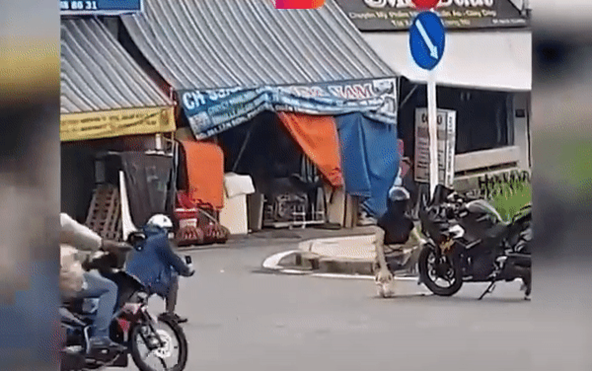 Quay clip sống ảo cho bạn gái, chàng trai ngớ người khi bị giật điện thoại trong chớp mắt Ảnh 2