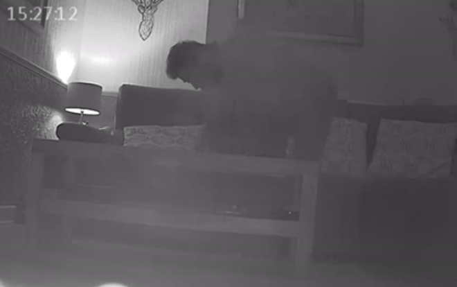 Nhờ hàng xóm vào nhà cho mèo ăn, người phụ nữ 'kinh hồn bạt vía' khi xem lại camera Ảnh 2