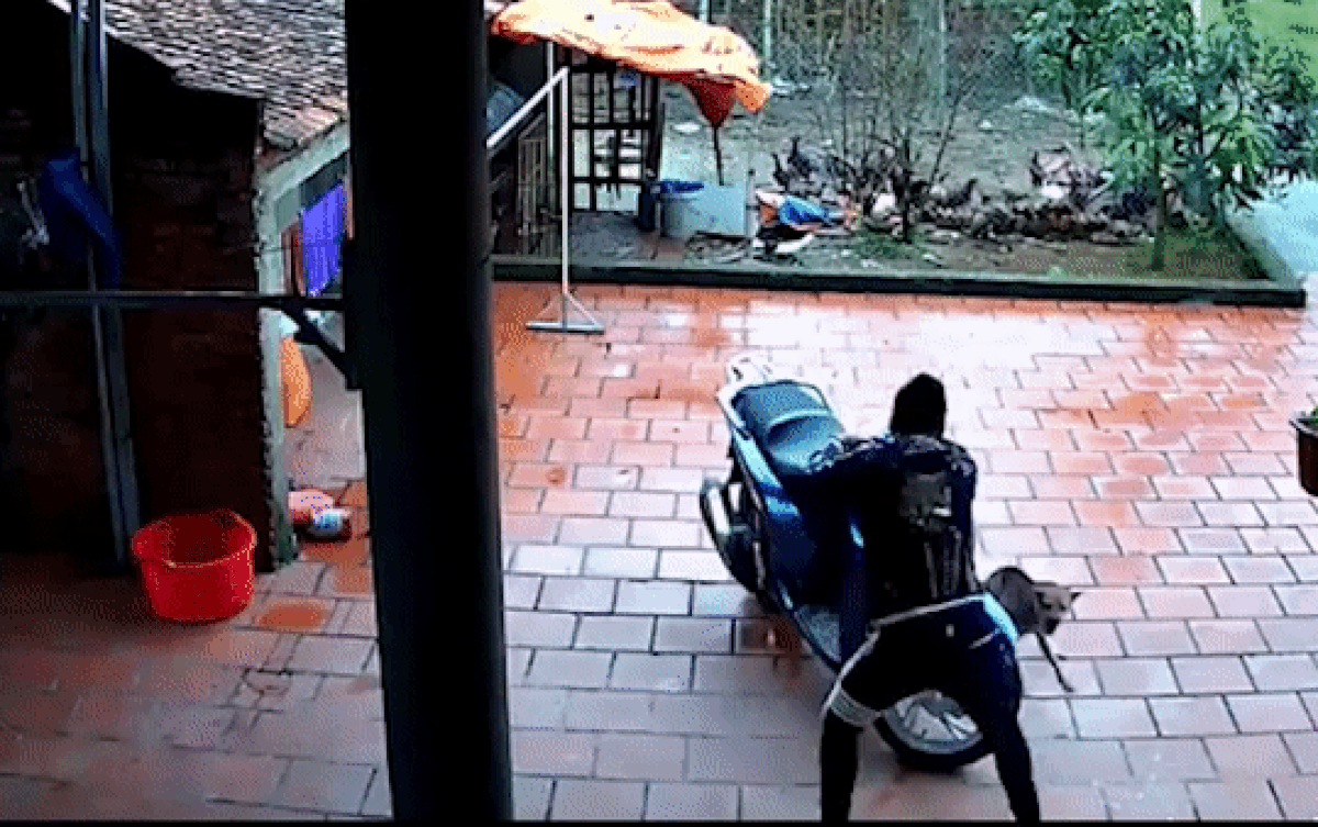 Đến chơi nhà bạn gái gặp chó dữ, thanh niên liền thể hiện 'võ công thâm hậu' khiến dân mạng cười ngất Ảnh 2