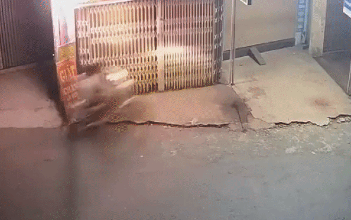 Đang lái xe thì cánh cửa bỗng dưng xuất hiện, cặp đôi gây ra cảnh tượng khiến dân mạng 'dở khóc dở cười' Ảnh 2