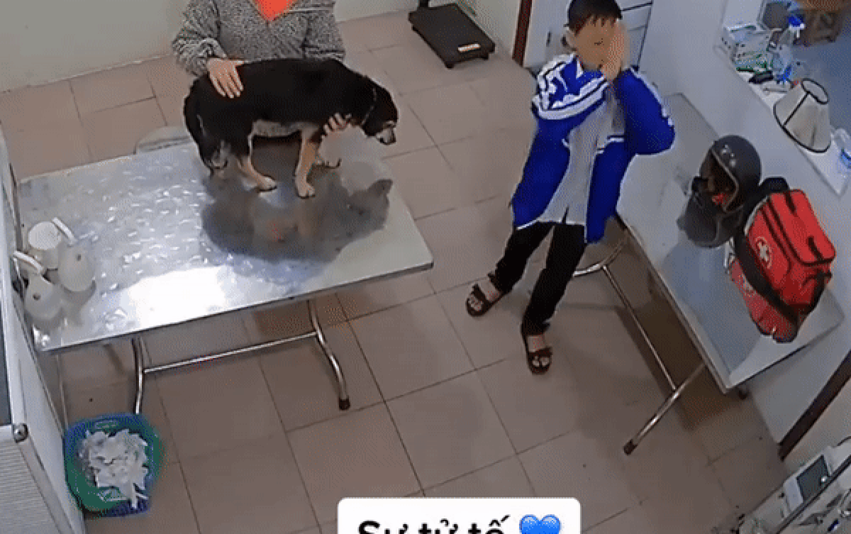 Cùng mẹ đưa cún cưng vào phòng khám, nam sinh có hành động bất ngờ khiến dân mạng thốt lên: Quá tử tế! Ảnh 2