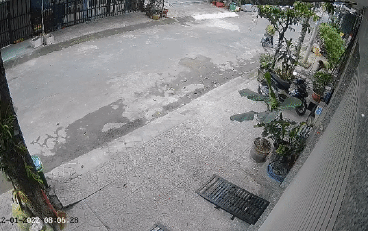 Đi ngang nhà dân thì phát hiện 'mồi ngon', 2 gã đàn ông có hành động đáng xấu hổ Ảnh 2