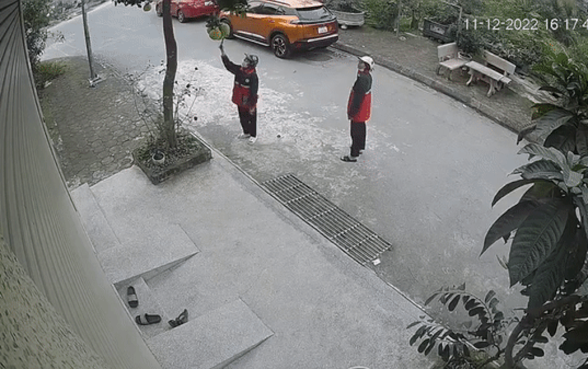 Vô tư găm dao lên quả bưởi trước nhà dân để chụp ảnh 'sống ảo', 2 cô gái trẻ khiến dân tình ngán ngẩm Ảnh 2