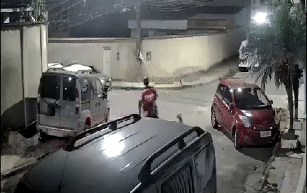 Bị chó rượt đến 'ngã chổng vó', chẳng ai ngờ được màn phản đòn sau đó của chàng shipper Ảnh 2