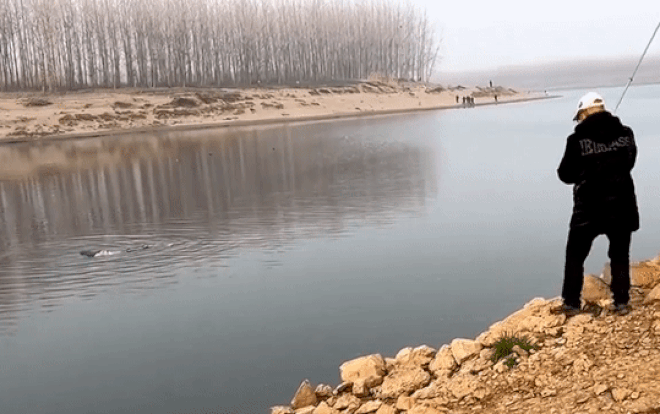 Nghẹt thở cảnh tượng 'cần thủ' cứu cô gái trôi sông bằng kỹ năng câu cá Ảnh 2