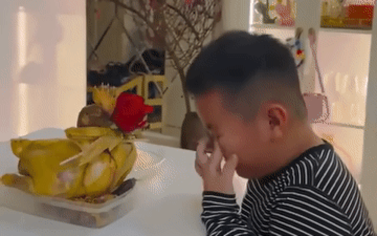 Cậu bé mếu máo khóc thương con gà bị mẹ luộc lên, dân mạng xem clip được dịp khen ngợi hết lời Ảnh 2
