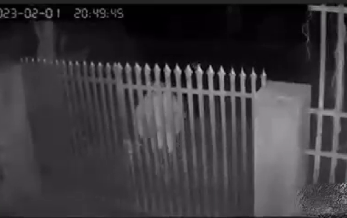 Mở cổng làm rơi chìa khóa vào trong, bước xử lý tiếp đó của vợ khiến chồng khóc thét khi xem lại camera Ảnh 2