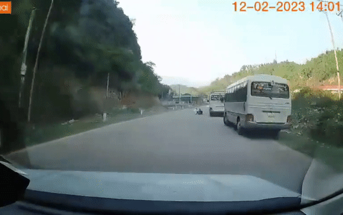 Đang bon bon trên đường, tài xế ô tô giật thót mình bởi cảnh tượng trước đầu xe Ảnh 2