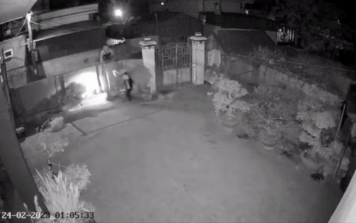 Chú chó sủa vài tiếng rồi im bặt, chủ nhà xem qua camera mới phát hiện cảnh tượng đáng sợ Ảnh 2