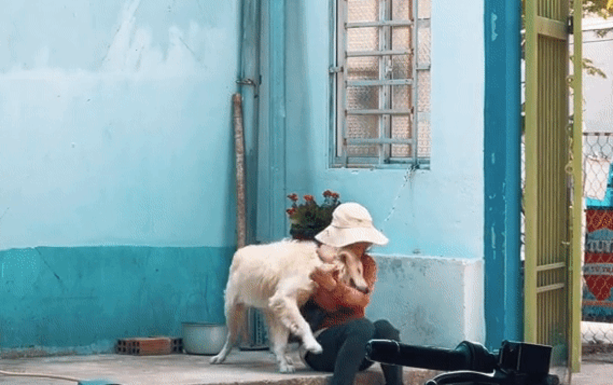 Bé gái bán vé số xoắn xuýt với chú chó xa lạ khiến CĐM rưng rưng: Sự ấm áp hiếm hoi trong ngày của em! Ảnh 2