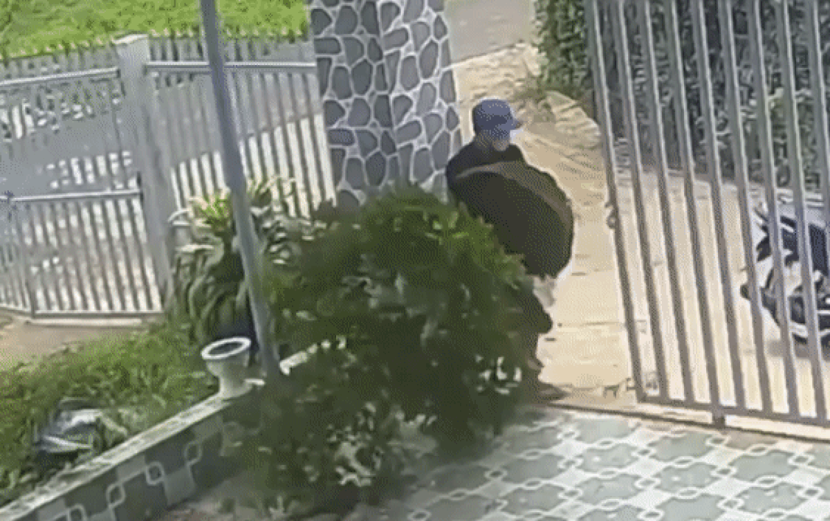 2 thanh niên xông vào nhà dân trộm cây cảnh nhưng dân mạng chỉ chú ý phản ứng của 'nhân vật lắm lông' này Ảnh 2