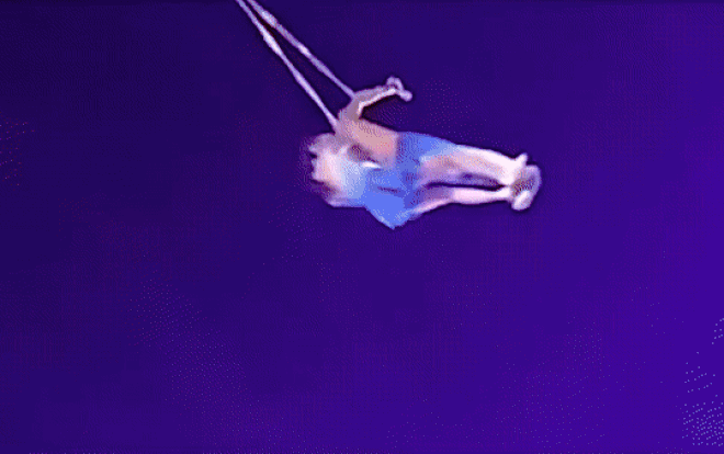 Vụ nữ diễn viên xiếc rơi từ trên không xuống tử vong: Chồng của nạn nhân bị điều tra Ảnh 2