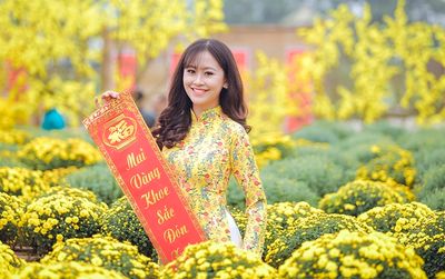 Hoa khôi Imiss Thăng Long khoe sắc giữa cánh đồng hoa vàng rực đón Tết