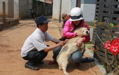 Thêm một bé trai bị chó hàng xóm nuôi cắn tử vong ở Đắk Lắk