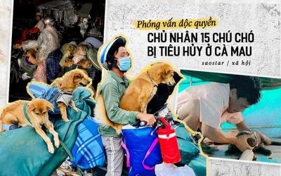 Phỏng vấn độc quyền chủ nhân 15 chú chó bị tiêu hủy ở Cà Mau: 'Tôi đã liên hệ với cô Di Băng giải thích'